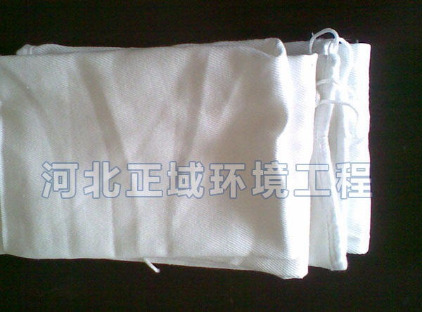 208滌綸（lún）環保除塵（chén）濾袋